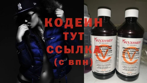 индика Балабаново