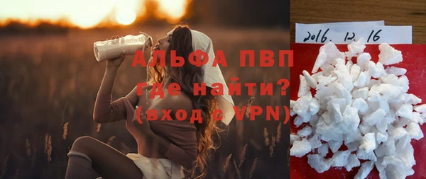 индика Балабаново