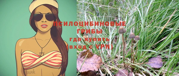 индика Балабаново