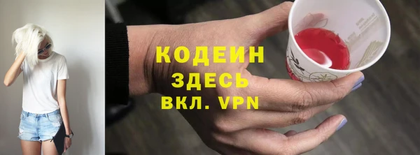 индика Балабаново