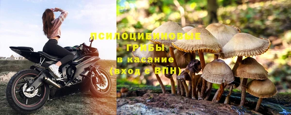 индика Балабаново