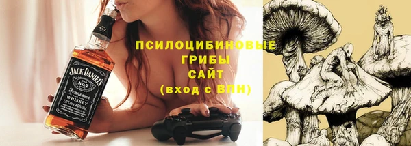индика Балабаново
