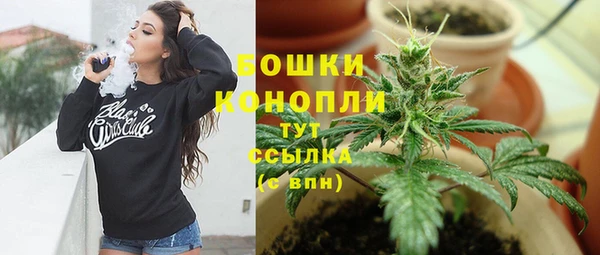 индика Балабаново