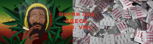 индика Балабаново