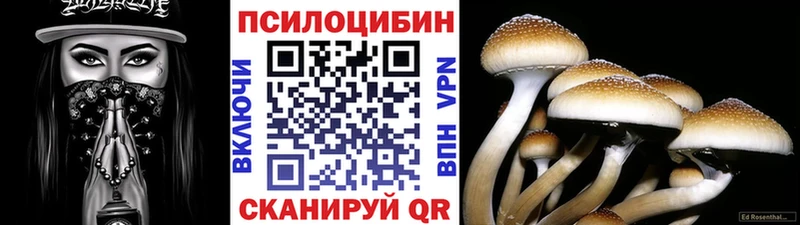 Галлюциногенные грибы Psilocybine cubensis  Усть-Джегута 