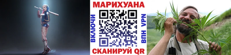 купить   Усть-Джегута  Шишки марихуана THC 21% 